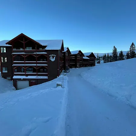 In Out In * Trysil